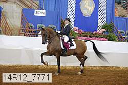 14r12_7771 proof