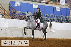 14r12_7774 proof