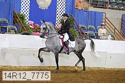 14r12_7775 proof
