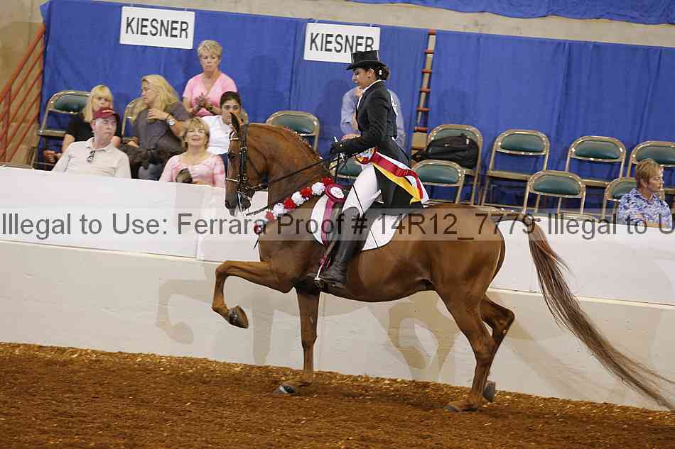 Proof 14r12_7779