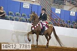 14r12_7781 proof