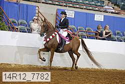 14r12_7782 proof