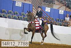 14r12_7788 proof