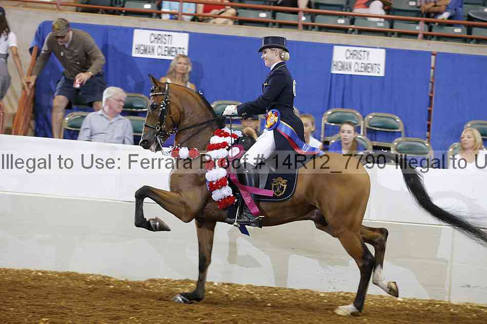 Proof 14r12_7790