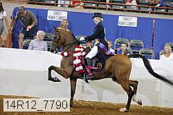 14r12_7790 proof