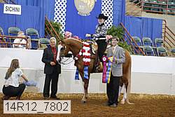 14r12_7802 proof