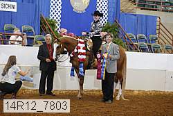 14r12_7803 proof