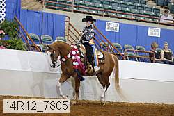 14r12_7805 proof
