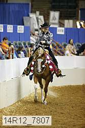 14r12_7807 proof