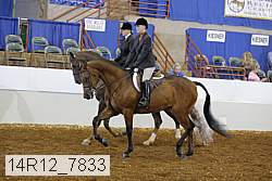 14r12_7833 proof