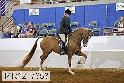 14r12_7853 proof