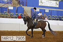 14r12_7905 proof