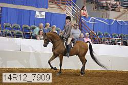 14r12_7909 proof