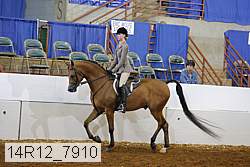 14r12_7910 proof