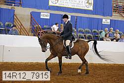 14r12_7915 proof