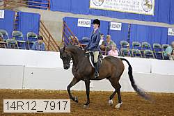 14r12_7917 proof