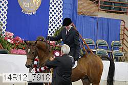 14r12_7918 proof