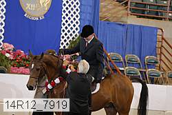 14r12_7919 proof