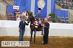 14r12_7930 proof