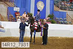 14r12_7931 proof