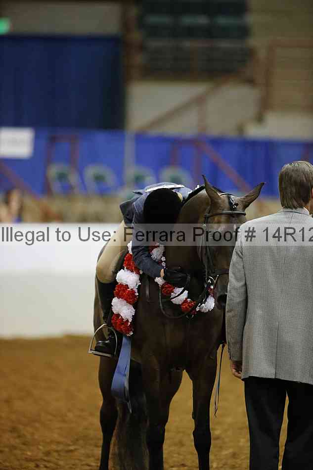 Proof 14r12_7933