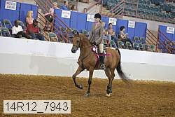 14r12_7943 proof