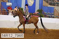 14r12_7946 proof