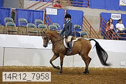 14r12_7958 proof