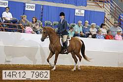 14r12_7962 proof