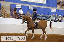 14r12_7963 proof