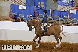 14r12_7969 proof