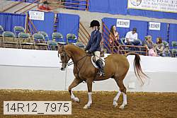 14r12_7975 proof