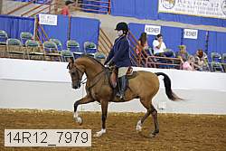 14r12_7979 proof