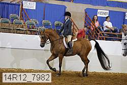 14r12_7982 proof