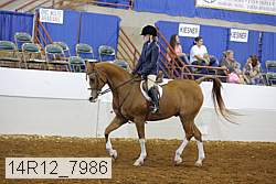 14r12_7986 proof