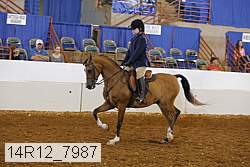 14r12_7987 proof