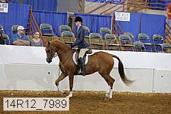 14r12_7989 proof