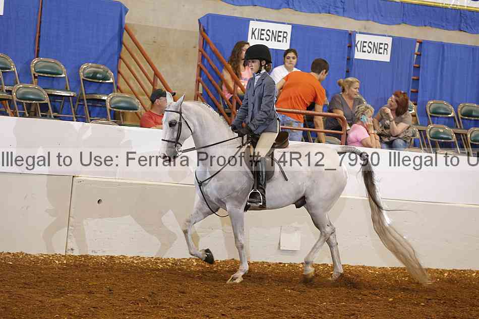 Proof 14r12_7990