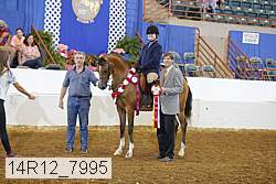 14r12_7995 proof