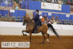 14r12_8029 proof