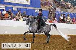 14r12_8030 proof