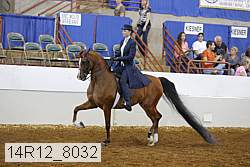 14r12_8032 proof