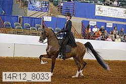 14r12_8033 proof