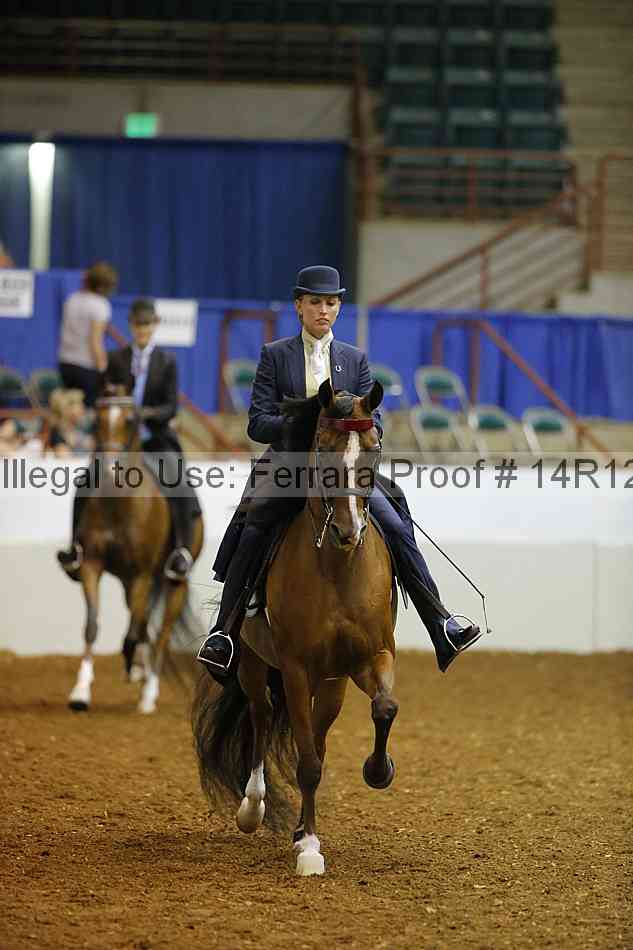Proof 14r12_8043