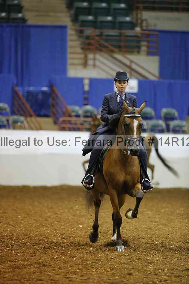 Proof 14r12_8045