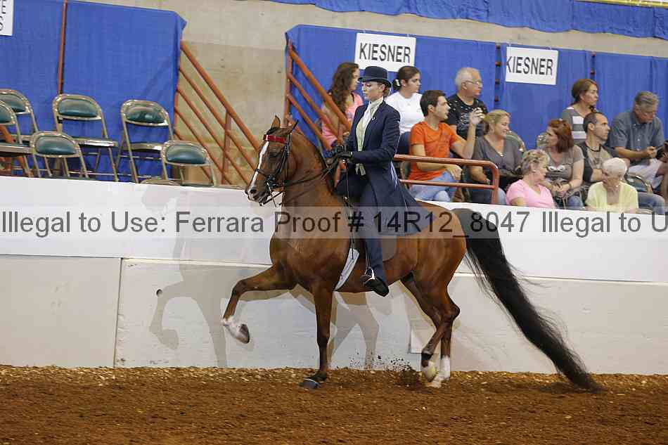 Proof 14r12_8047