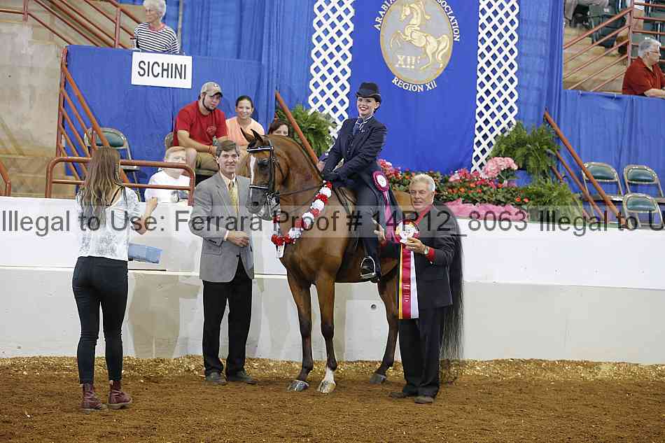 Proof 14r12_8063