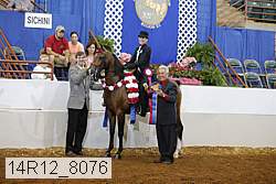 14r12_8076 proof