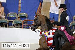 14r12_8081 proof