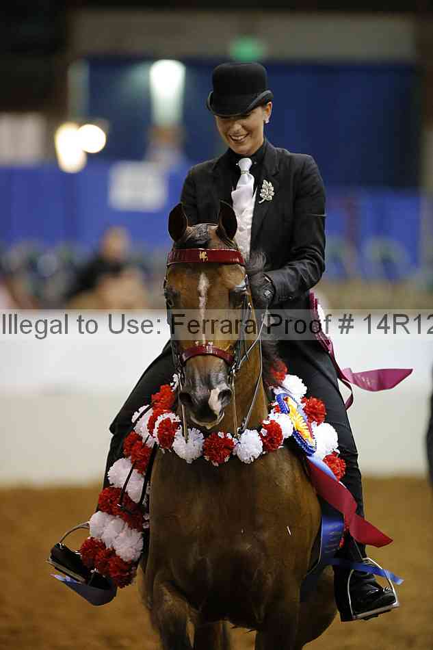 Proof 14r12_8083